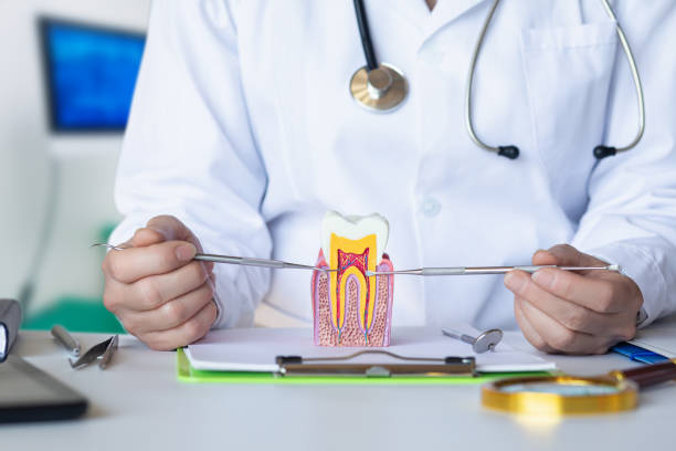 Professional Emergency Dentist in NH